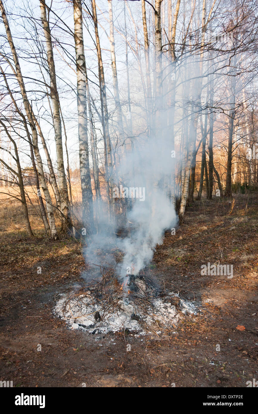 Rauchen-Lagerfeuer mit kleinen Flammen im Wald im Frühjahr Stockfoto