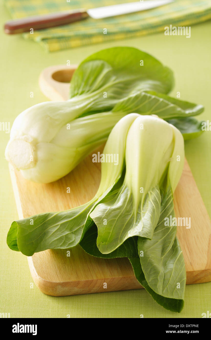 Pak-Choi Kohl Stockfoto