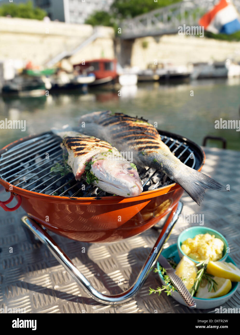 Zwei ganze Wolfsbarsch vom Grill auf dem Grill Stockfoto