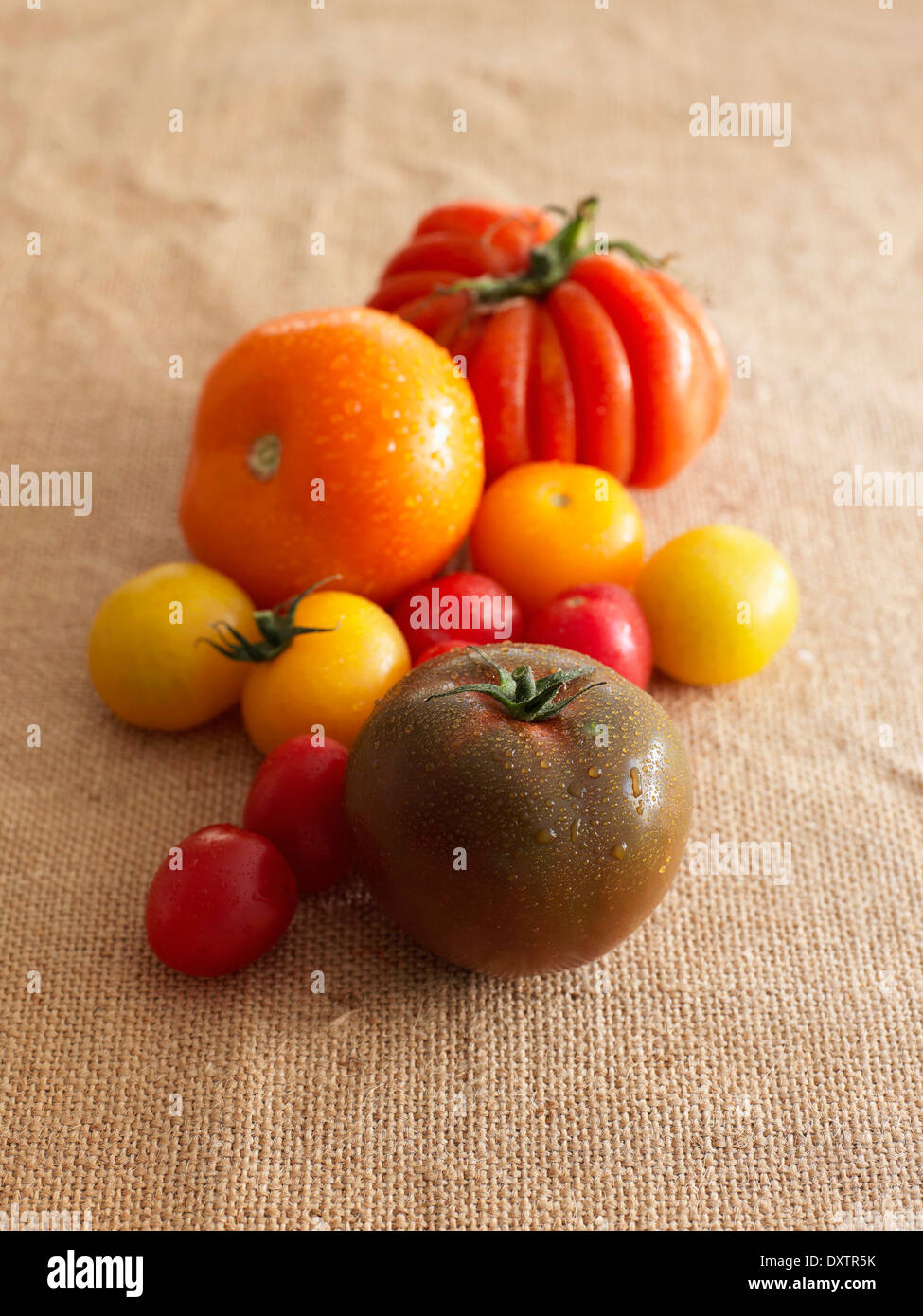 Auswahl an Tomaten Stockfoto