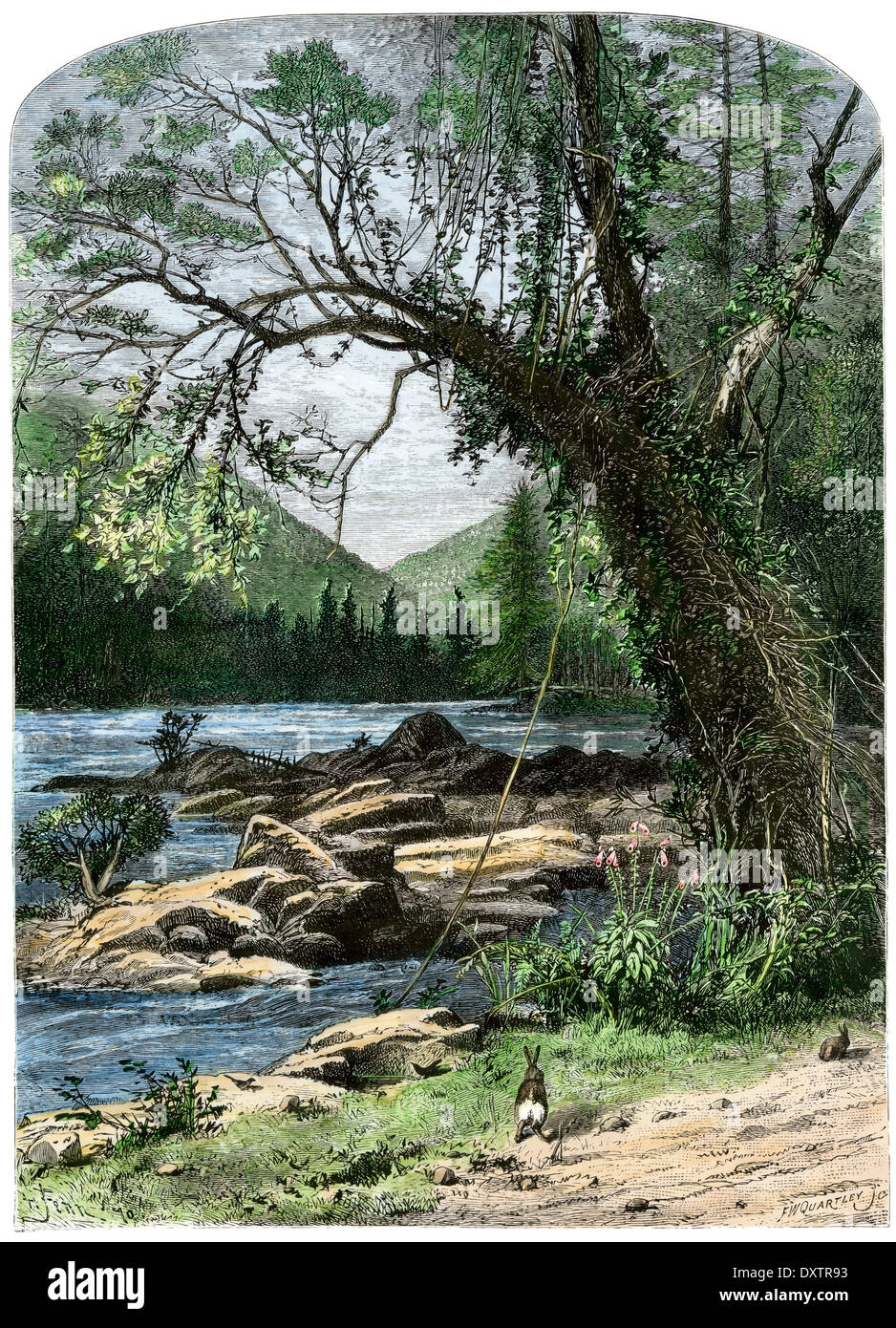 Blick auf die French Broad River in den Bergen von North Carolina. Hand - farbige Holzschnitt Stockfoto