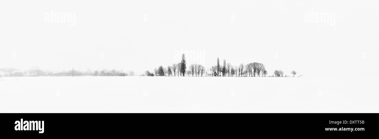 Winterlandschaft, Baranja, Kroatien Stockfoto