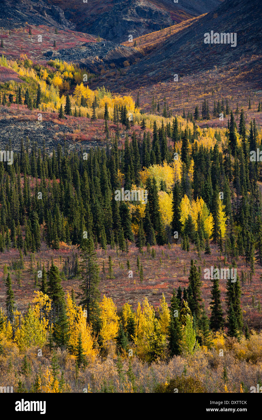 Herbstfärbung Farbsäume der Dempster Highway, Yukon Territorien, Kanada Stockfoto