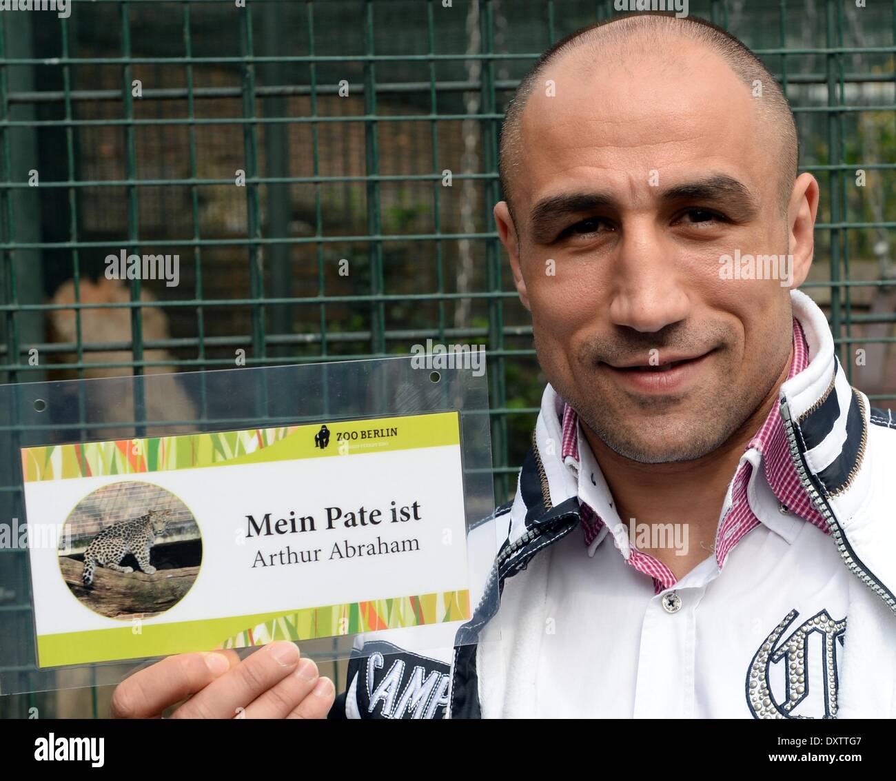 Berlin, Deutschland. 31. März 2014. Armenisch-deutsche Profi-Boxer Arthur Abraham stellt neben dem Käfig des persischen Leoparden im Berliner Zoo in Berlin, Deutschland, 31. März 2014. Abraham hat die Patenschaft für den jungen Leoparden Shiva, dessen Mutter begleitet, jedoch zeigte sich nur ohne ihre jungen übernommen. Foto: SOEREN STACHE/DPA/Alamy Live-Nachrichten Stockfoto