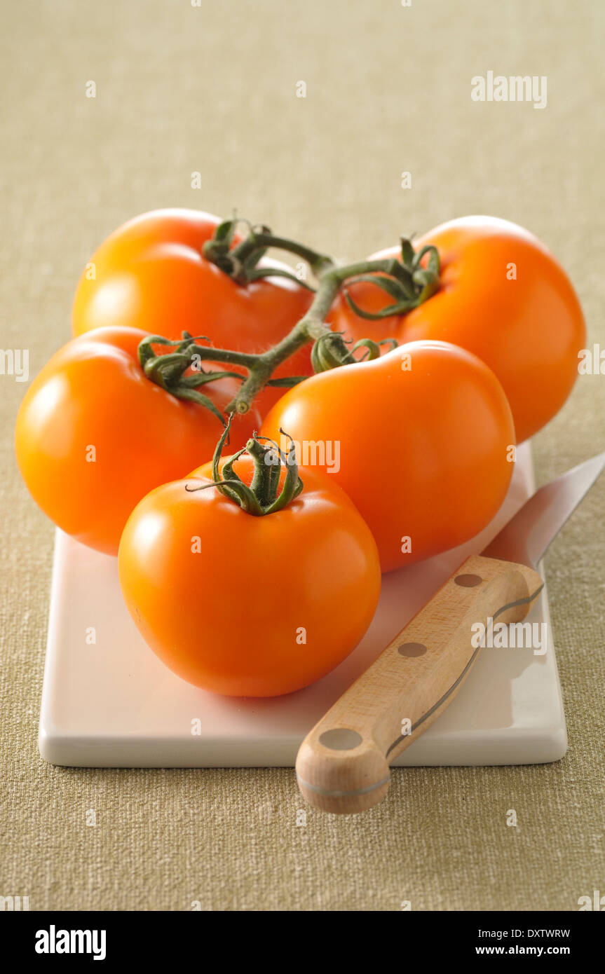 Orange Tomaten Stockfoto