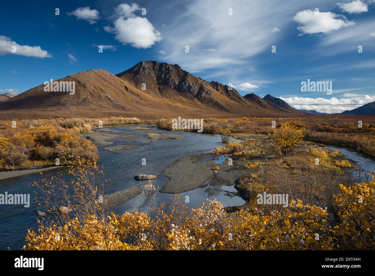 Der Prospector-Range in Tombstone Territorial Park, auf dem Dempster Highway, Yukon Territorien, Kanada Stockfoto