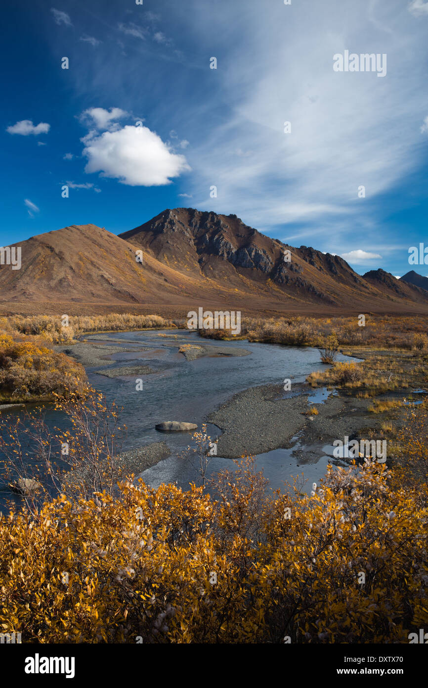 Der Prospector-Range in Tombstone Territorial Park, auf dem Dempster Highway, Yukon Territorien, Kanada Stockfoto