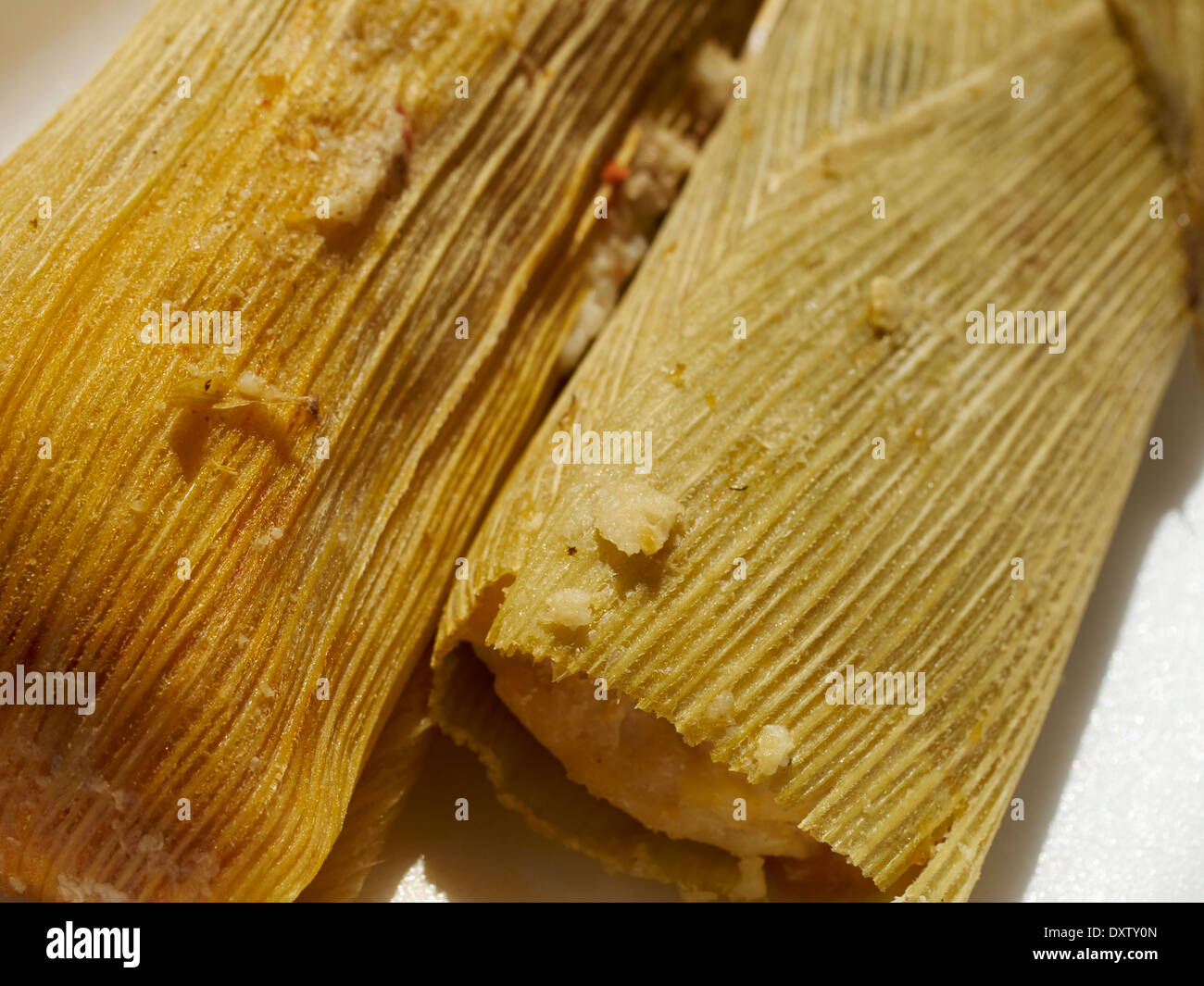 Grüne Chile-Tamale aus Tucson, AZ, USA Stockfoto