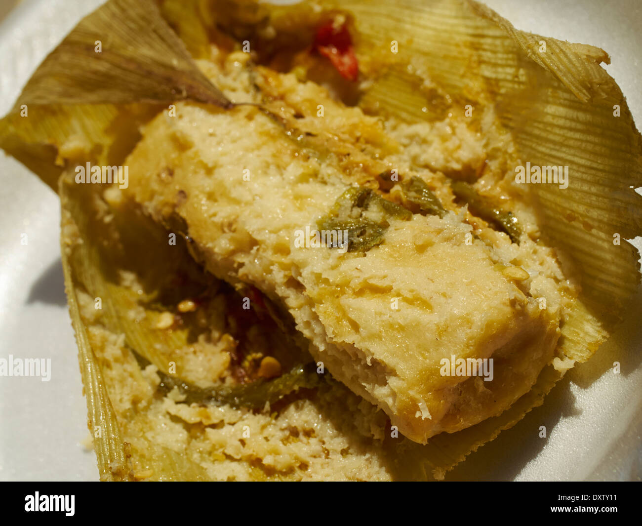 Grüne Chile-Tamale aus Tucson, AZ, USA Stockfoto