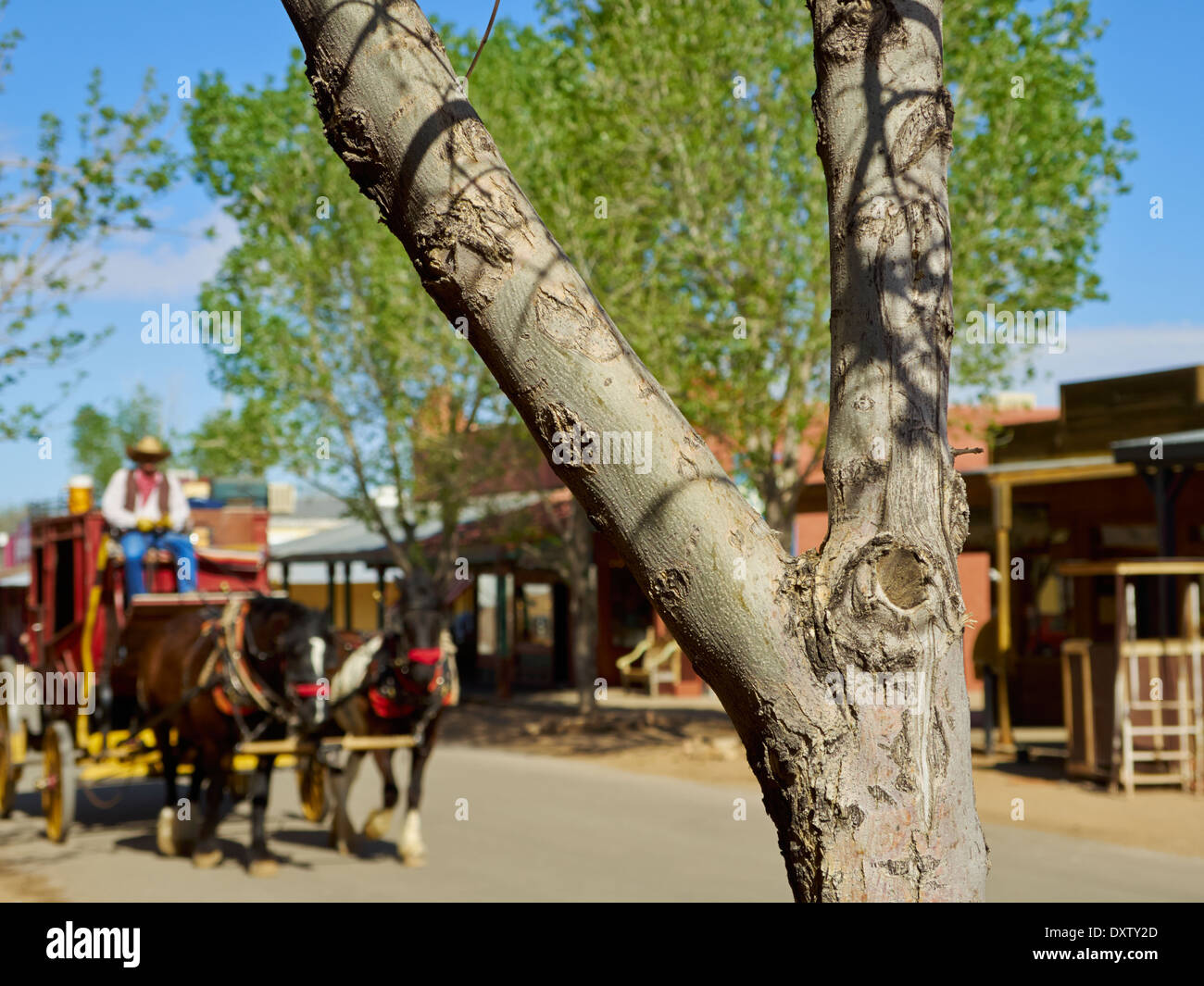 Postkutsche und Pferde, Osten Allen Street, Tombstone, AZ, USA Stockfoto