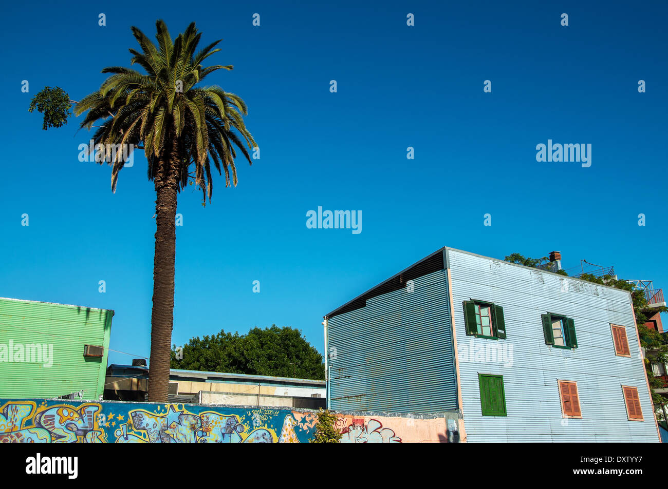 Blaue Gebäude und Palm-Baum im historischen Viertel von La Boca in Buenos Aires Stockfoto