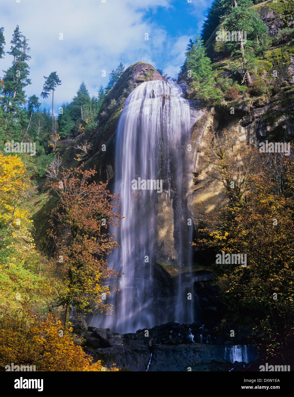 Silber fällt stürzt die Klippen hinunter; Allegany, Oregon, Vereinigte Staaten von Amerika Stockfoto