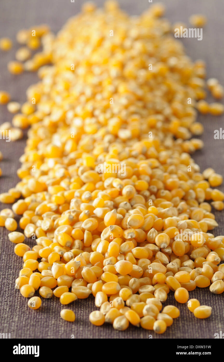 Haufen von getrockneten Mais Stockfoto