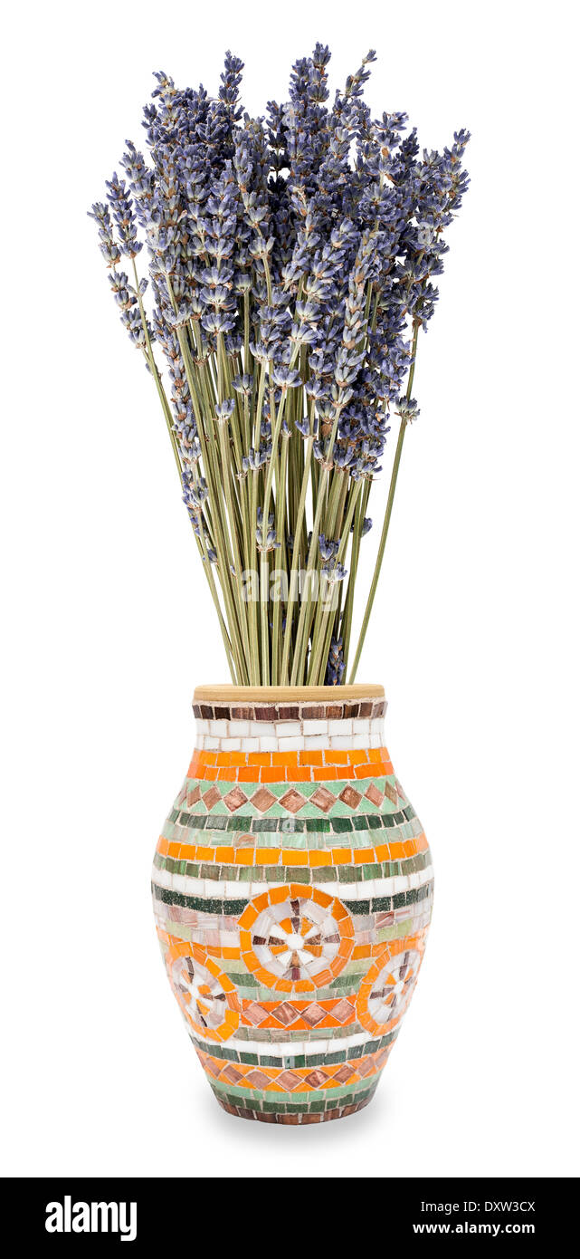 Lavendel Vase isoliert auf weiss Stockfoto