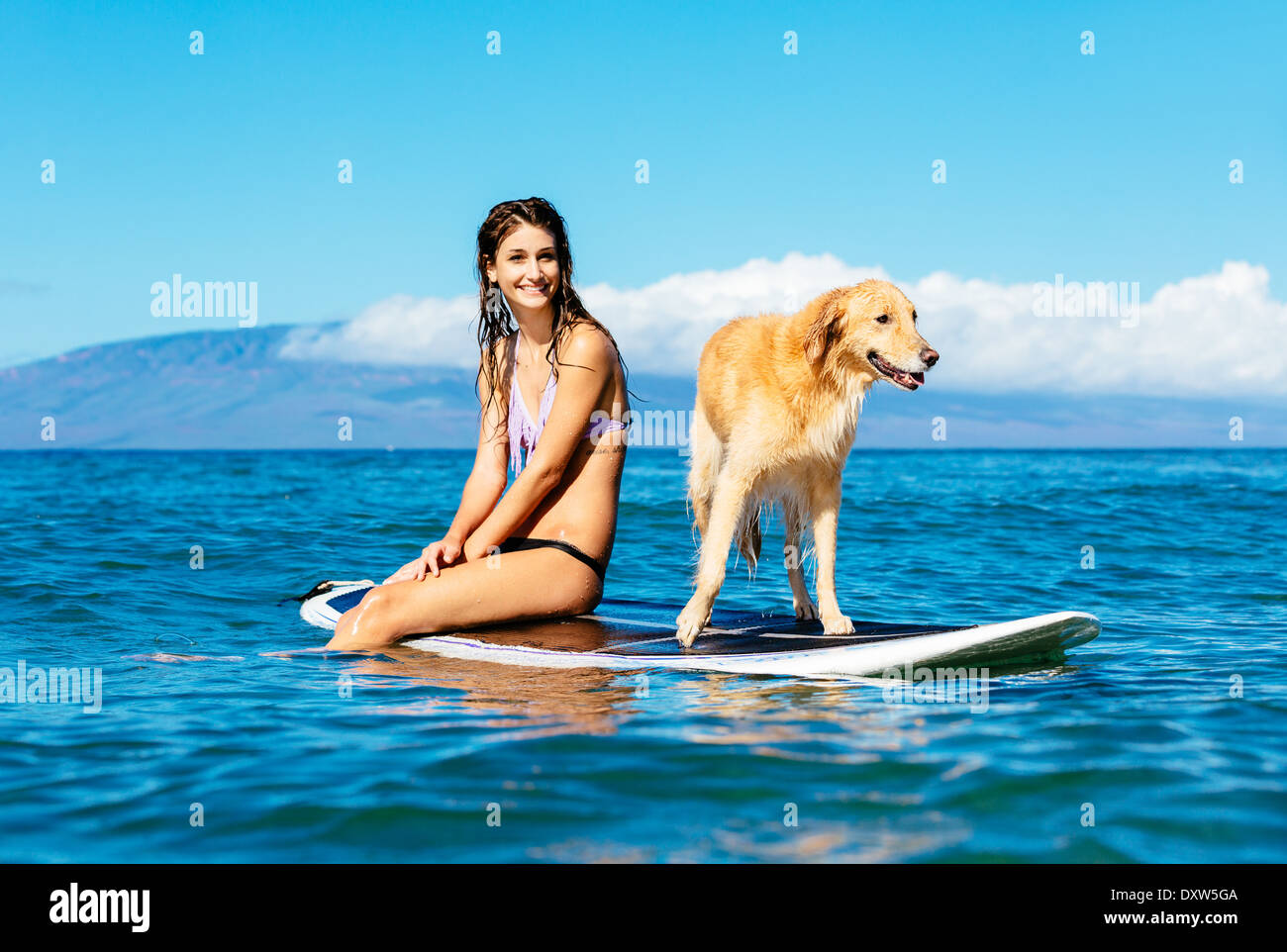 Attraktive junge Frau Surfen mit ihrem Hund. Surfbrett mit Golden Retriever zu teilen. Stockfoto
