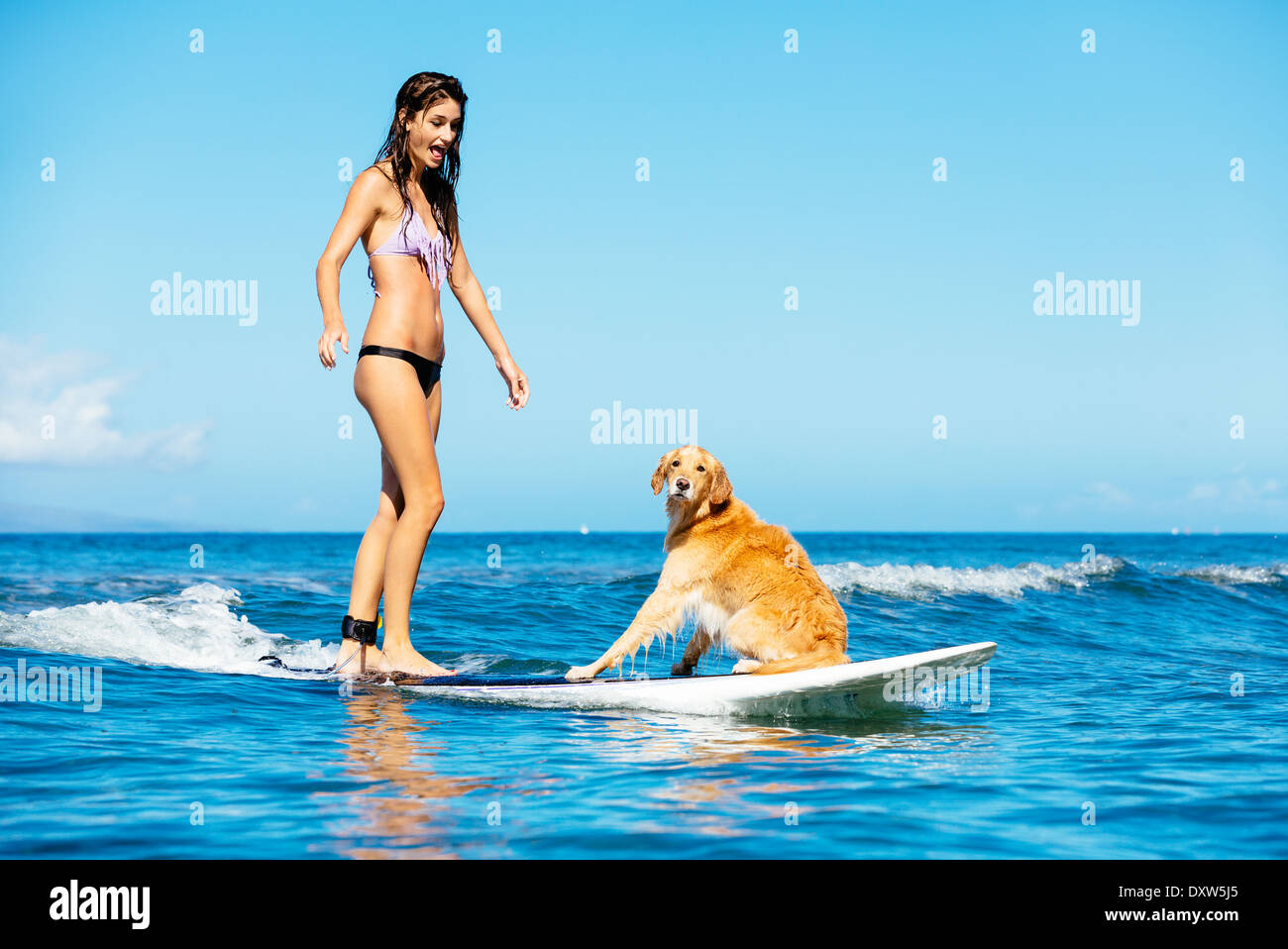 Attraktive junge Frau Surfen mit ihrem Hund. Welle im Ozean zusammen. Surfen-Hund. Stockfoto