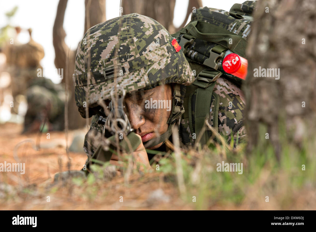 Republik der Korea Marine nehmen Sie Abdeckung während eines simulierten amphibische teils gemeinsame Übung Ssang Yong 31. März 2014 in Doksu-Ri, Pohang, Südkorea. Stockfoto