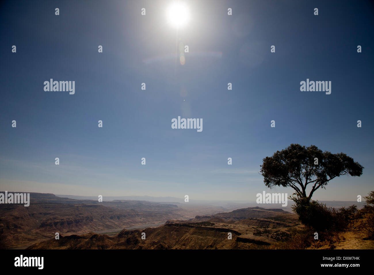 Äthiopische staubige Landschaft sieht Großbaum Vista Sonnenhimmel Stockfoto