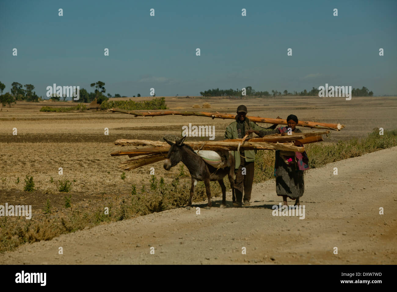 Esel und Besitzer zu Fuß auf der staubigen äthiopisch-Straße mit schweren Last Stockfoto