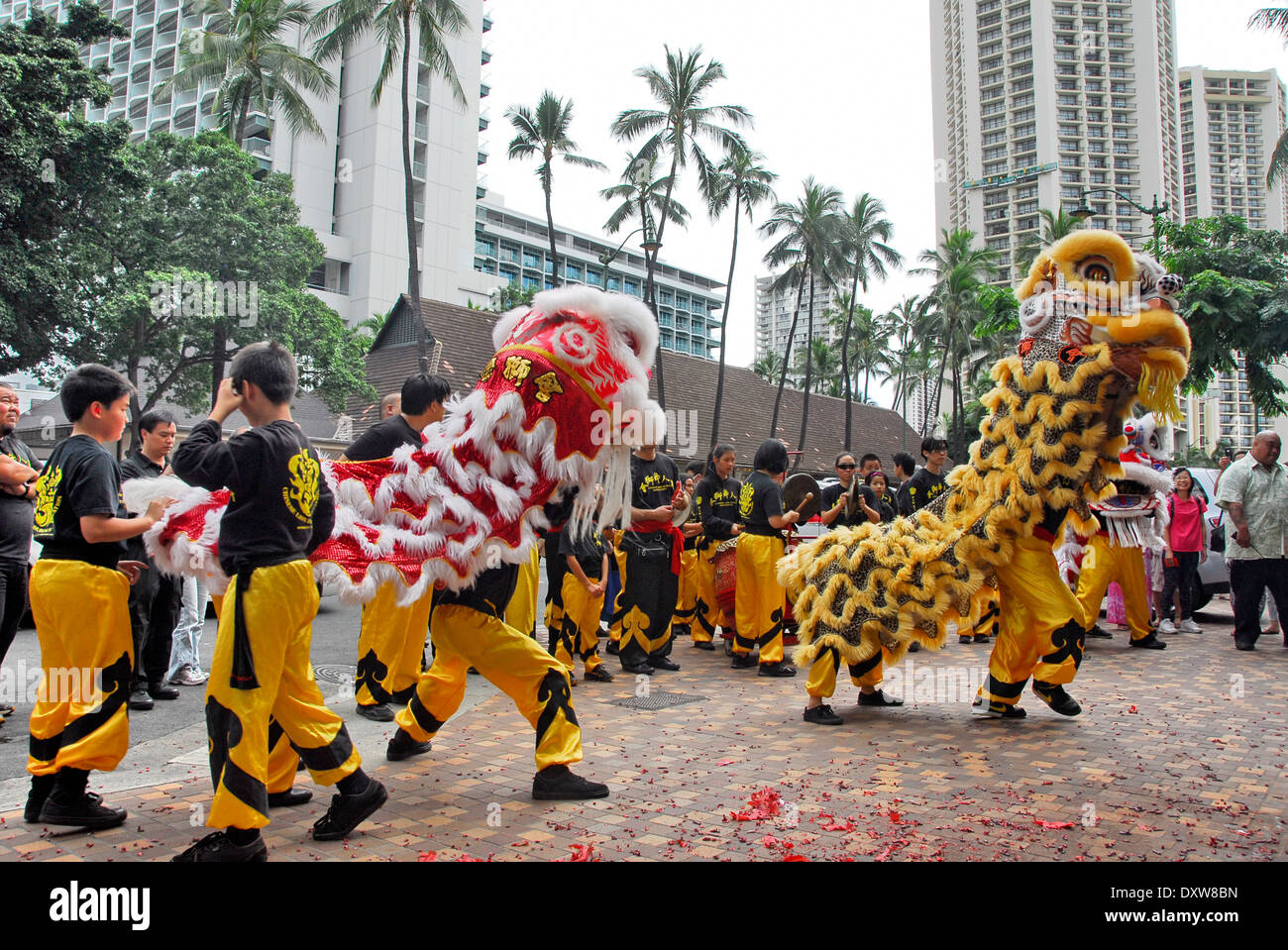 Chinesischer Löwentanz auf Chinese New Year in Waikiki Beach in Honolulu, Insel Oahu, in dem Bundesstaat Hawaii Stockfoto