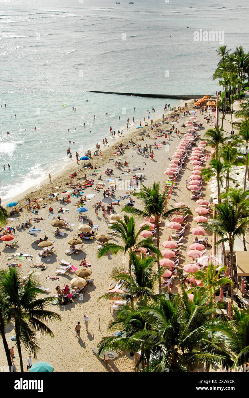 Waikiki Beach in Honolulu, Insel Oahu, in dem Bundesstaat Hawaii Stockfoto