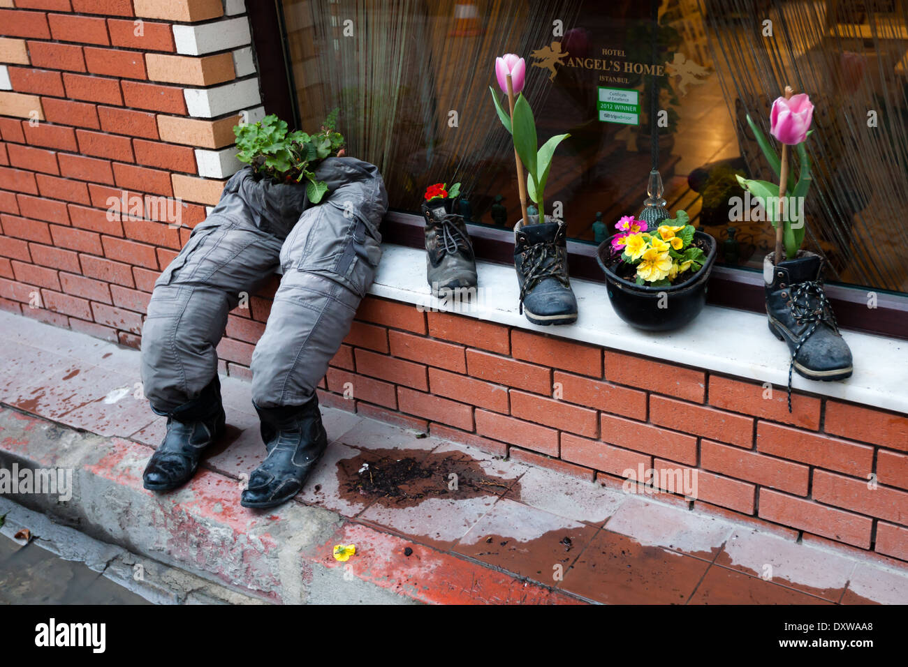 Schuhe, Stiefel, Helm und Hose als Blumentopf Stockfoto