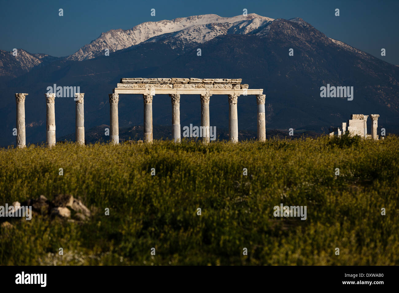 Hellenistische Ruinen in Laodykeia bei Pamukkale, Türkei Stockfoto