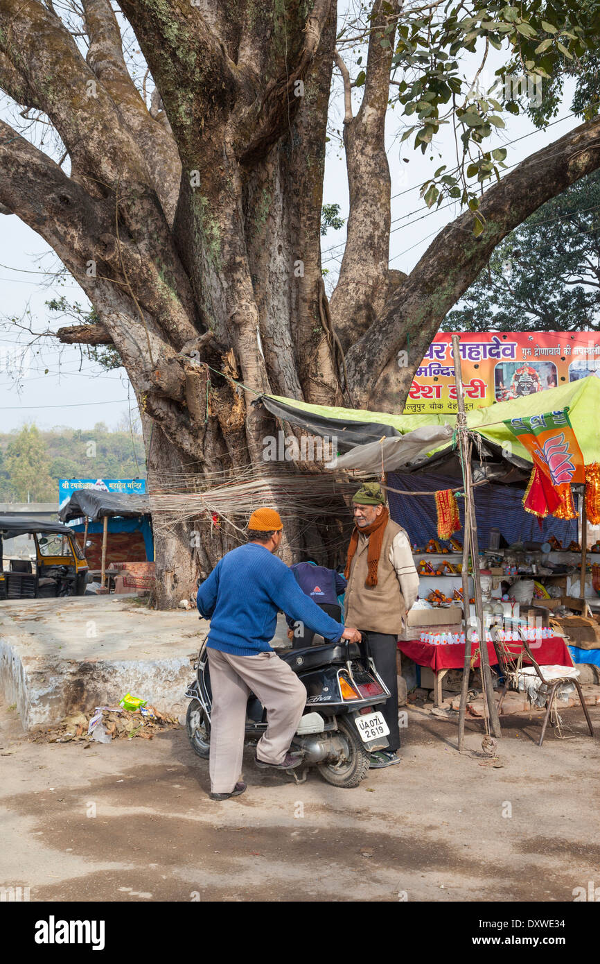 Indien, Dehradun. Männer sprechen in der Nähe von Tapkeshwar Hindu-Tempel. Zeichenfolge ist oft um ein Banyan-Baum, in der Hoffnung auf Glück gebunden. Stockfoto