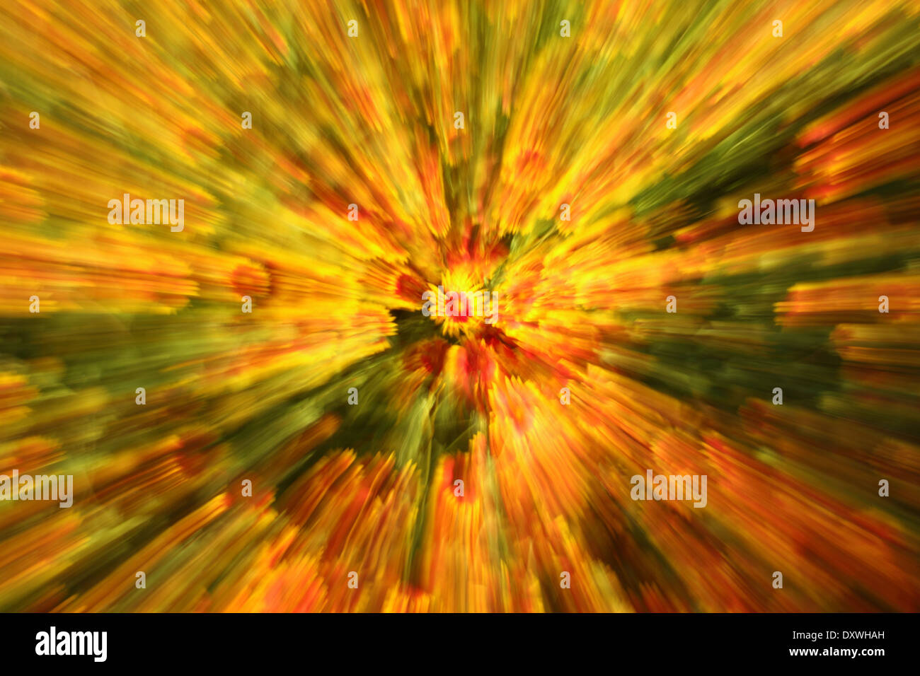 Eine Zoom-Unschärfe der Wildblumenwiese - psychedelischen. Stockfoto