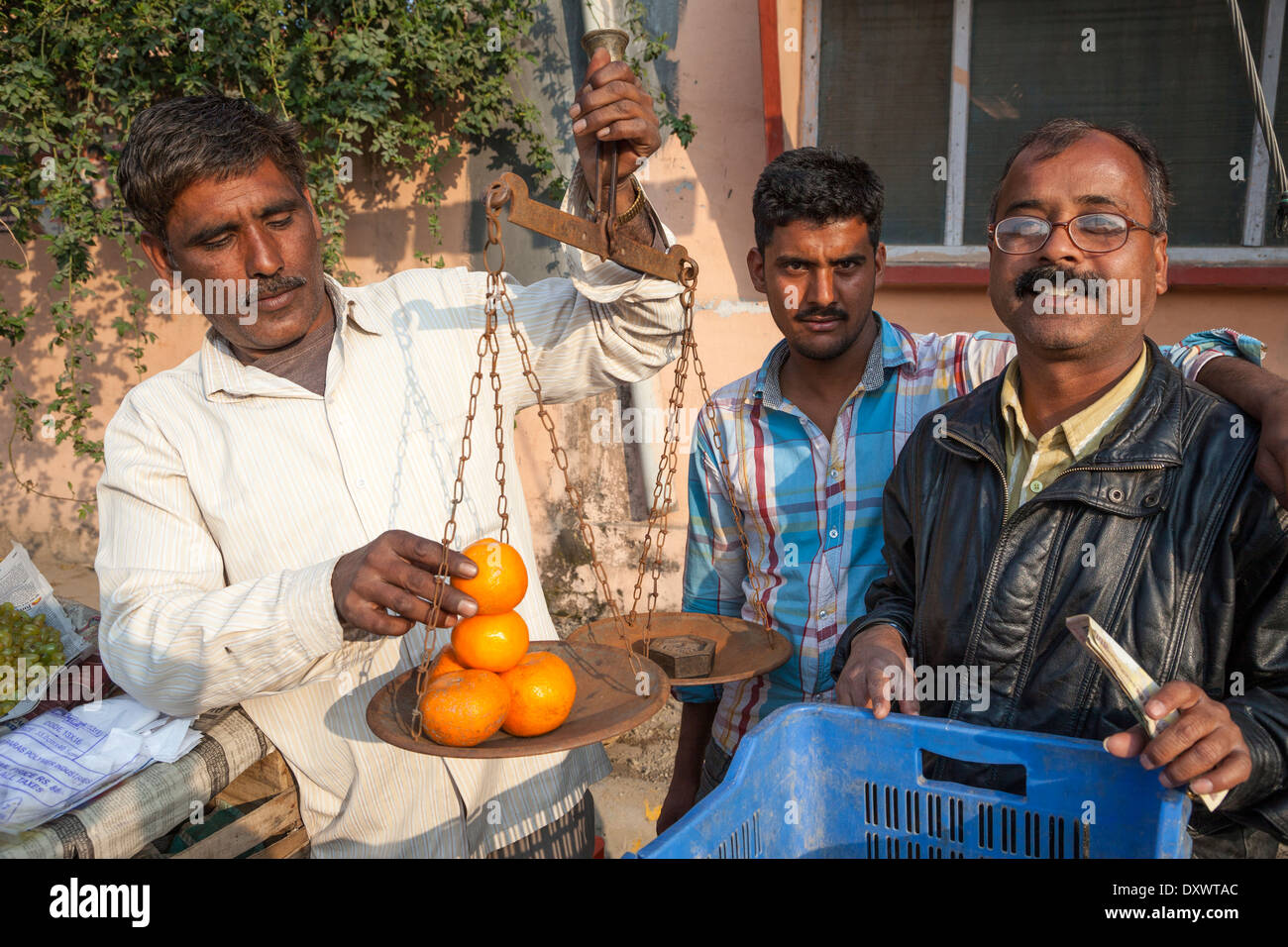Indien, Dehradun. Orange Verkäufer mit einem Gewicht von Orangen für einen Kunden. Stockfoto