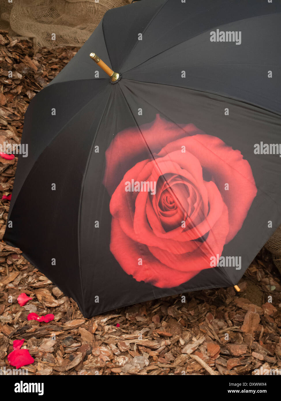 Rose verziert Regenschirm auf dem Boden Stockfoto