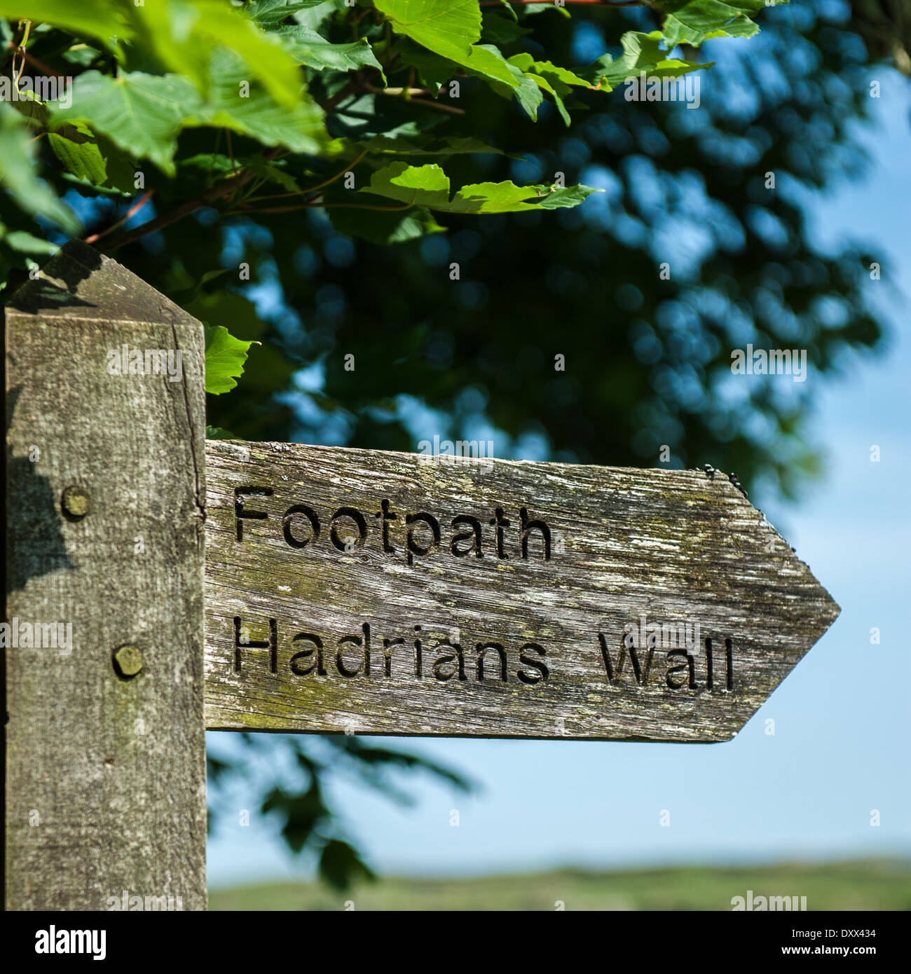 Ein Wegweiser auf Hadrian Wall in Nordengland Stockfoto