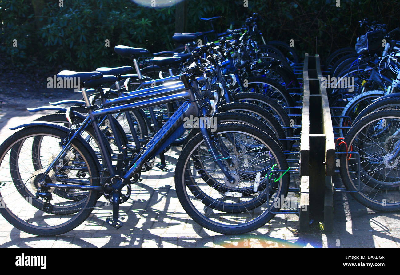Fahrräder, aufgereiht auf einem Rack bei Center Parcs. Stockfoto