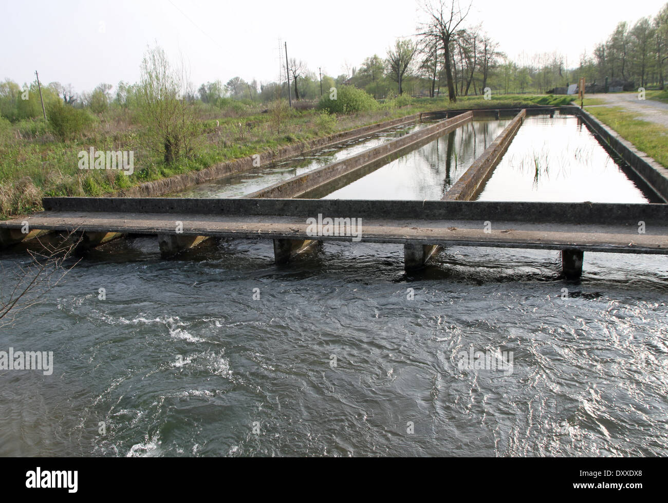 Forellen zucht Fotos und Bildmaterial in hoher Auflösung Alamy