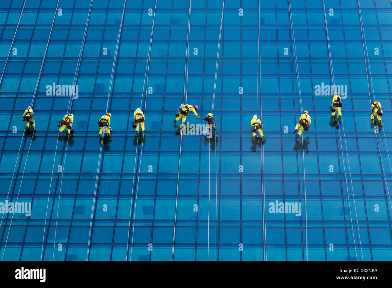Fensterputzer in Folge im gelben Overall gekleidet kooperieren auf der Seite corporate Wolkenkratzer. Stockfoto