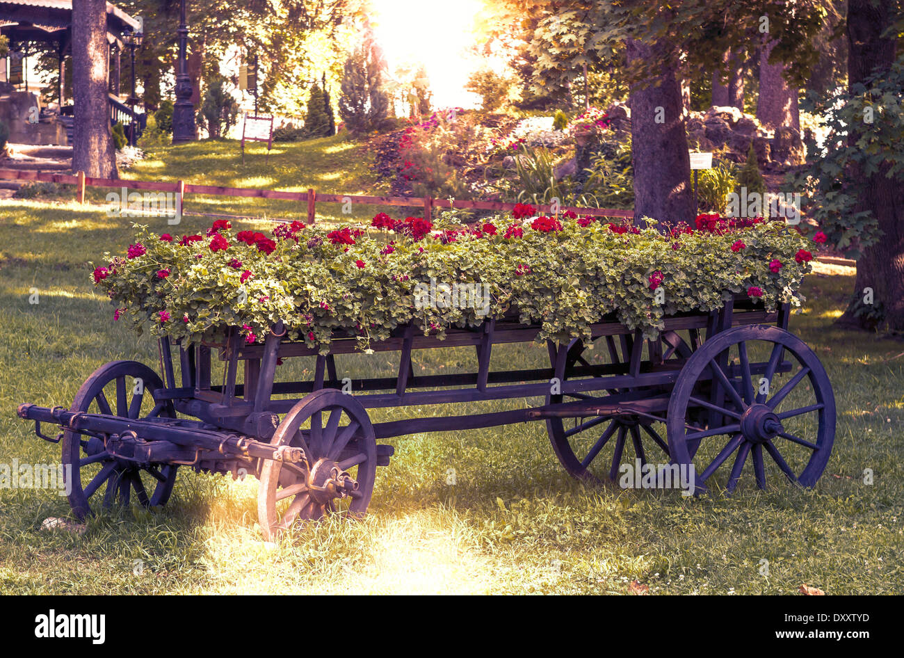 altes Rad Wagen mit Blumen im park Stockfoto