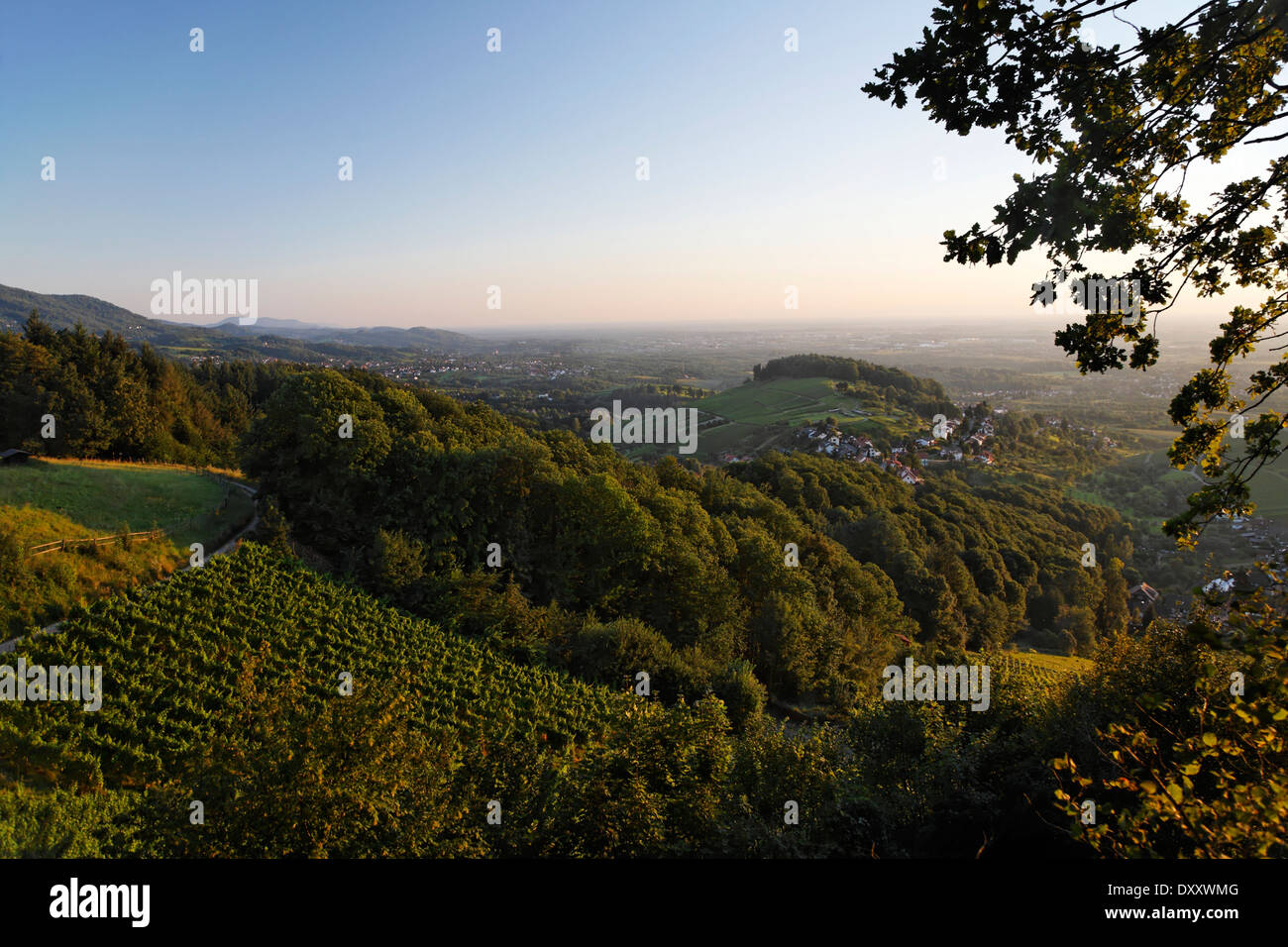 Deutschland, Baden-Württemberg, Schwarzwald, Blick auf "Burg Windeck", ruinierte Burg, Abendlicht, Deutschland, Baden-Württemberg, Stockfoto