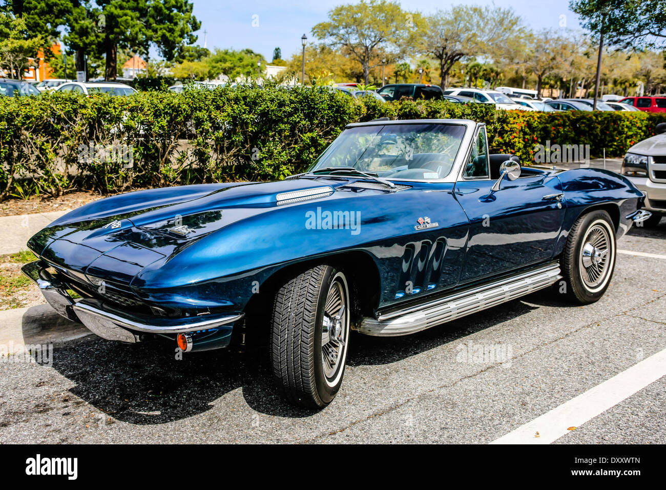 1950er Jahre Corvette Cabrio Stockfoto