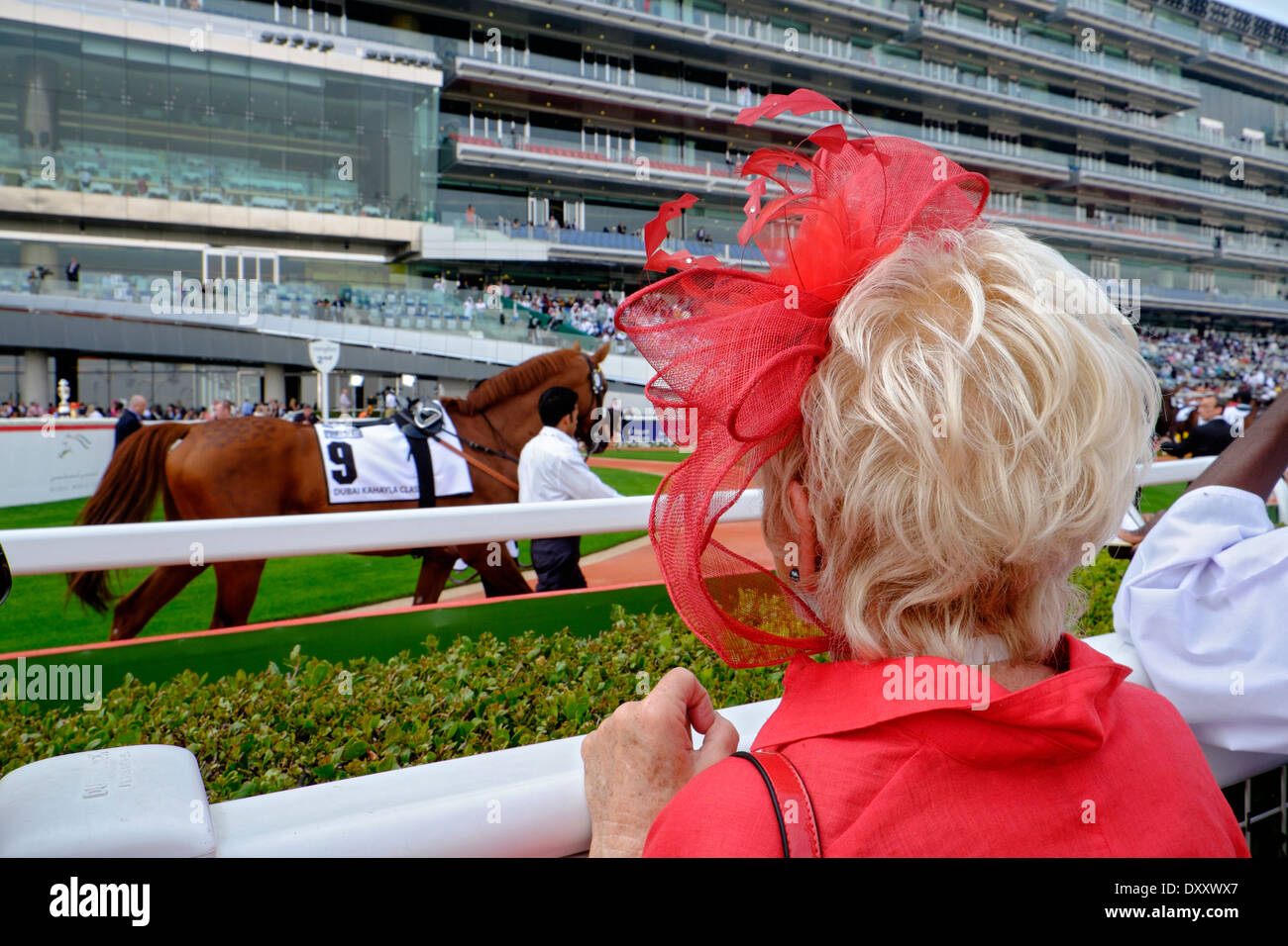Dame mit Hut Blick auf Pferde beim Dubai World Cup Pferderennen Meisterschaft in Meydan Racecourse in Dubai Vereinigte Arabische Emirate Stockfoto