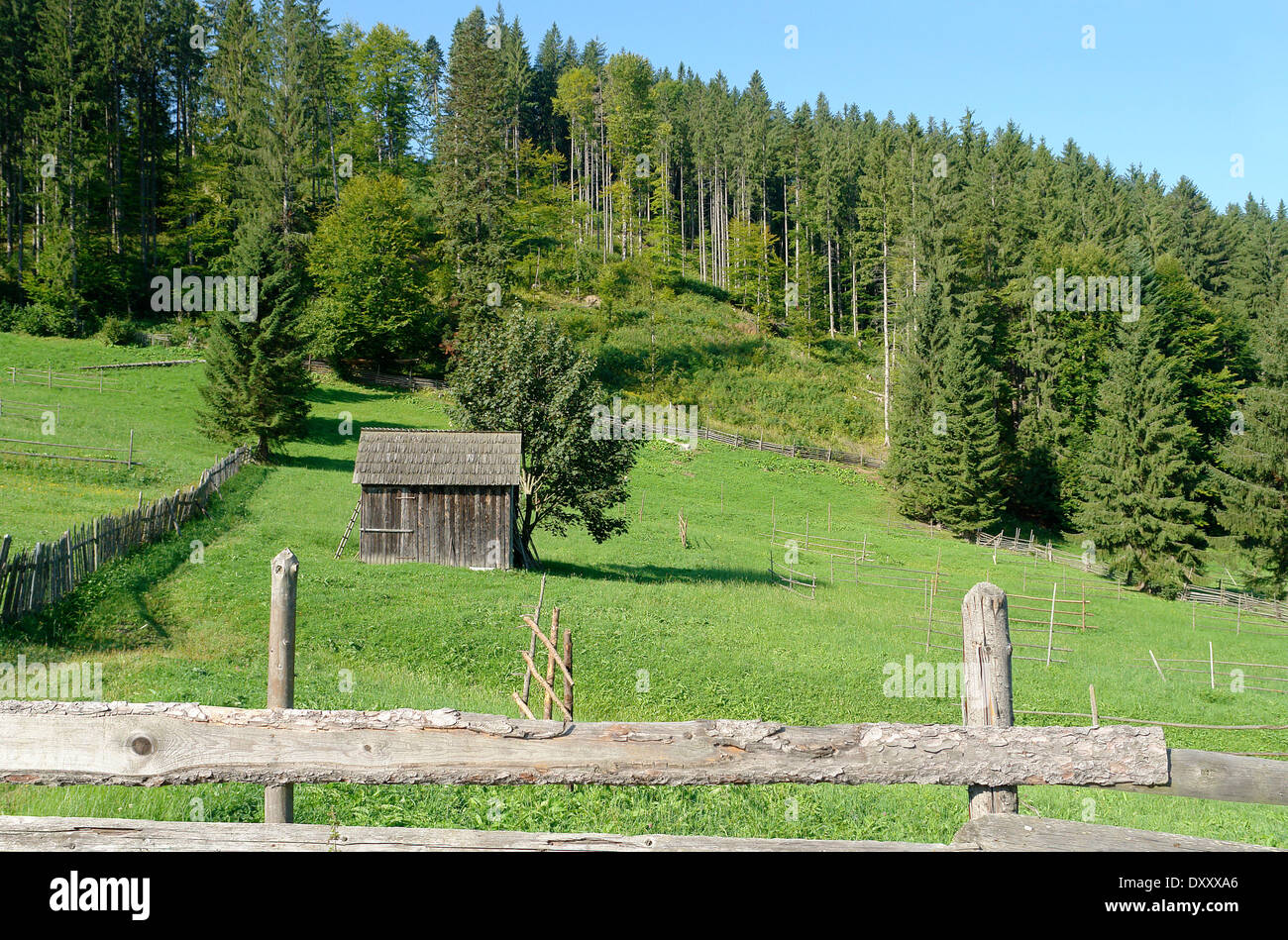idyllische ländliche Landschaft in Moldawien, einem Gebiet in Rumänien Stockfoto
