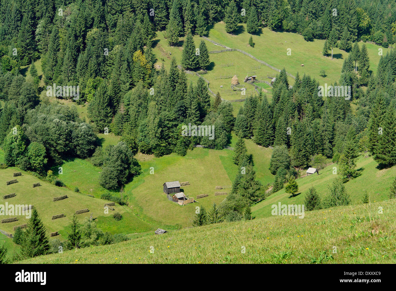 idyllische ländliche Landschaft in Moldawien, einem Gebiet in Rumänien Stockfoto