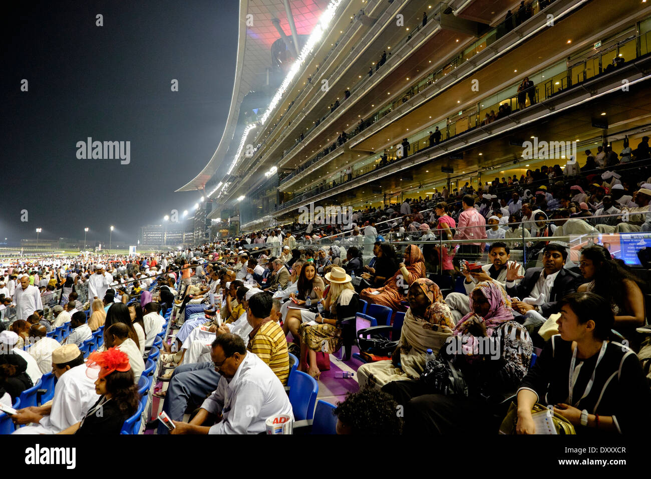 Beschäftigt Tribüne beim Dubai World Cup Pferderennen Meisterschaft in Meydan Racecourse in Dubai Vereinigte Arabische Emirate Stockfoto