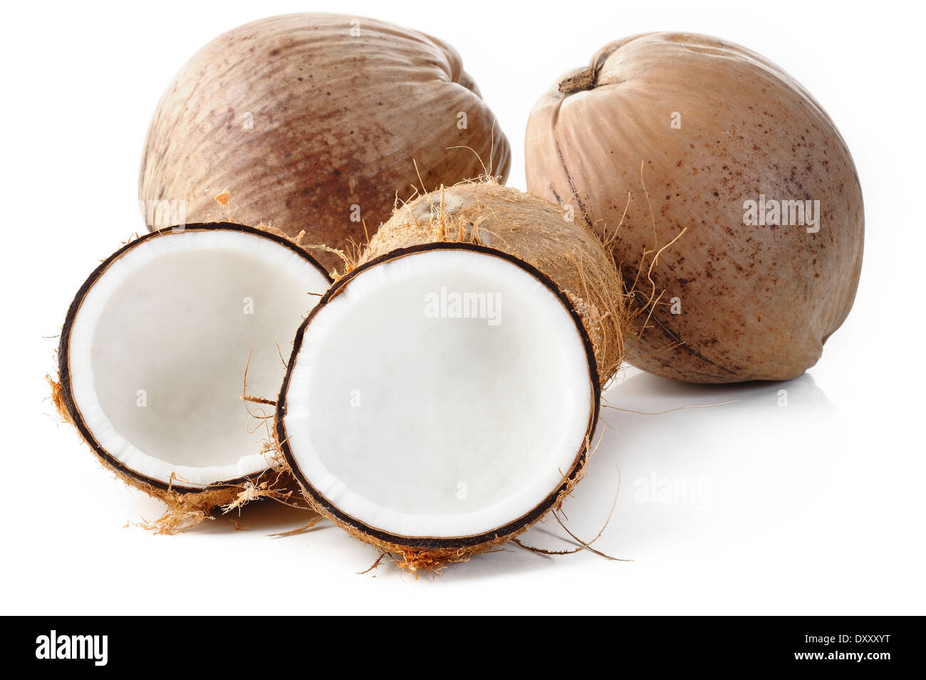 Kokosnuss auf weißem Hintergrund Stockfoto