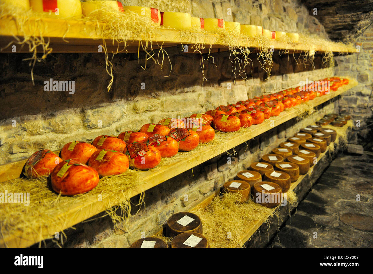 Verfeinerung der Käse im Keller Stockfoto