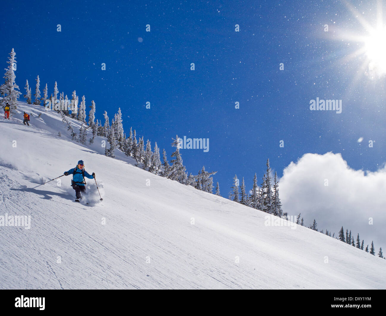 Back Country Ski Skifahren frischen Pulverschnee, North Cascades Mountains, Washington State, USA Stockfoto