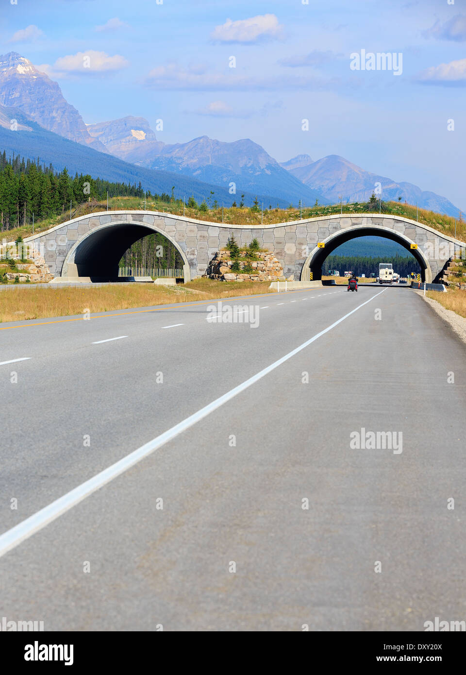 Wildlife Überführung des Trans-Canada Highway, Banff National Park, Alberta, Kanada überqueren Stockfoto