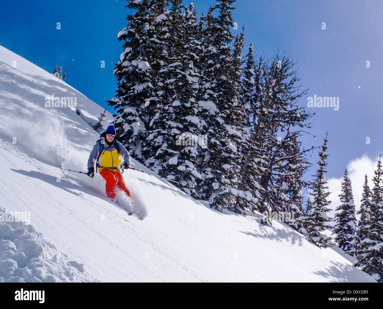 Back Country Ski Skifahren frischen Pulverschnee, North Cascades Mountains, Washington State, USA Stockfoto