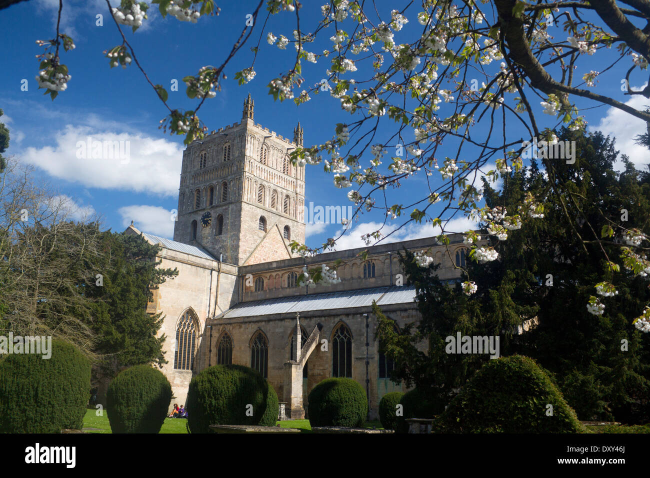 Tewkesbury Abbey Kirche im Frühjahr mit weißen Blüten auf Baum im Vordergrund Gloucestershire England UK Stockfoto