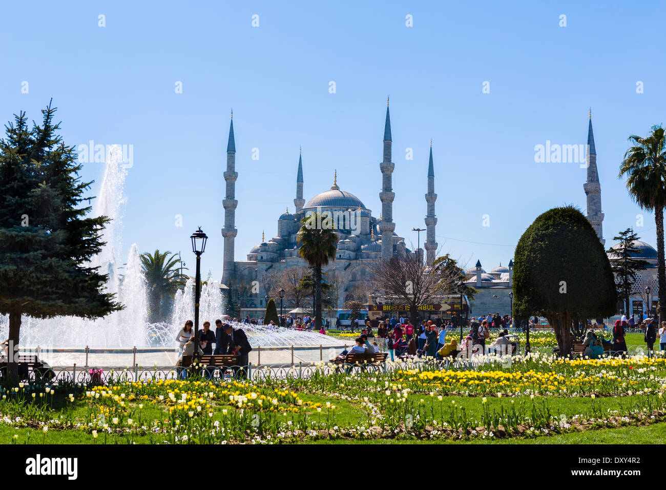 Blaue Moschee (Sultanahmet Camii) vom Sultanahmet Park, Stadtteil Sultanahmet, Istanbul, Türkei Stockfoto