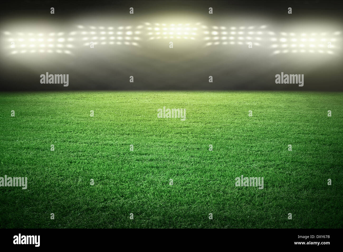 Sport Stadion in Spotlight mit grünem Gras Feld Stockfoto